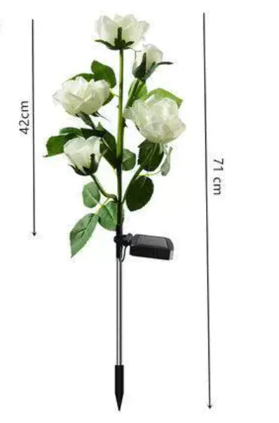 Color-Changing Solar Garden Roses